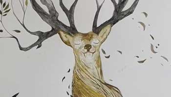 涂涂抹抹