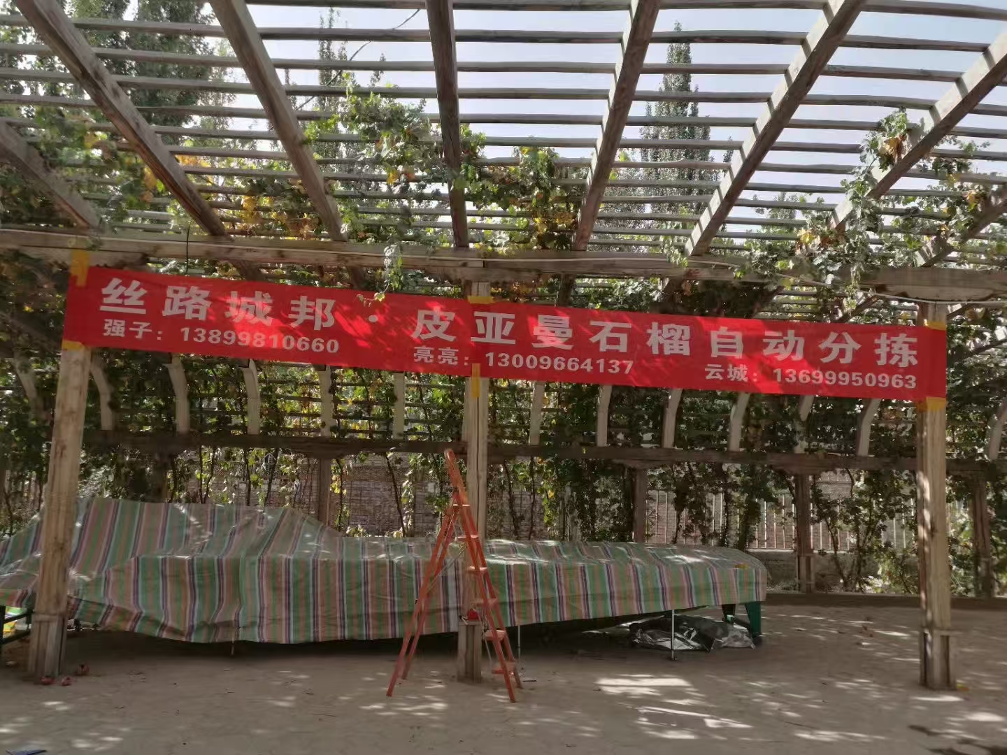 买了一套称重分拣设备