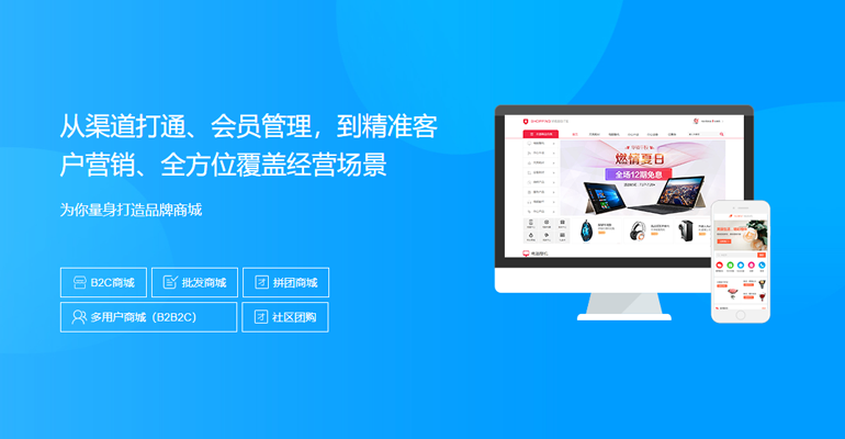 网站开发
